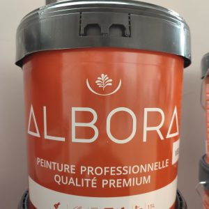 Peinture blanche velours professionnelle intérieur premium Albora